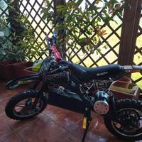 minicross Apollo 800w