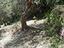 Immagine 6