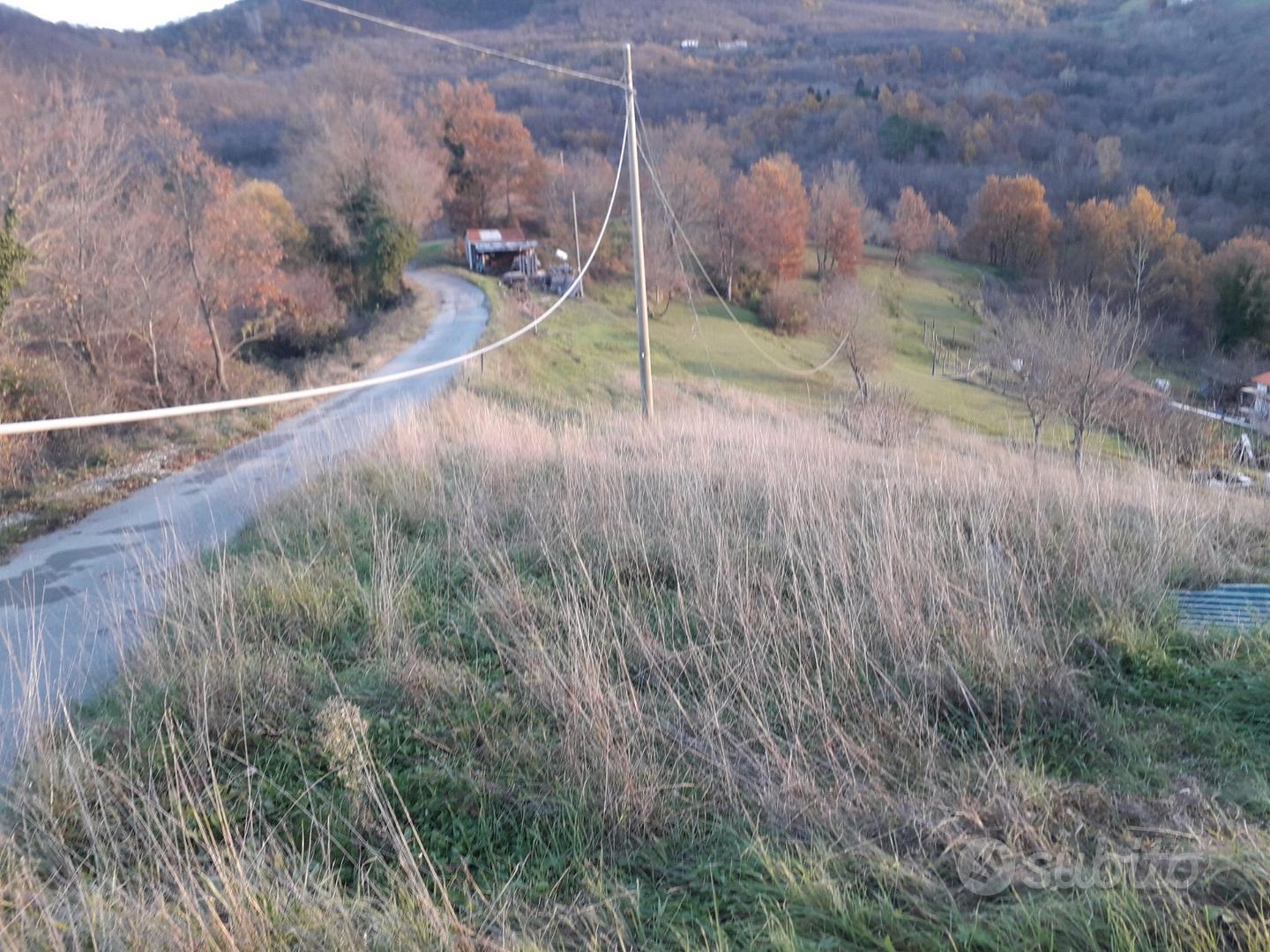 Terreno agricolo e boschivo - Vista 4