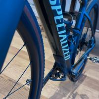 Specialized Diverge Carbon