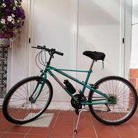 bicicletta bianchi