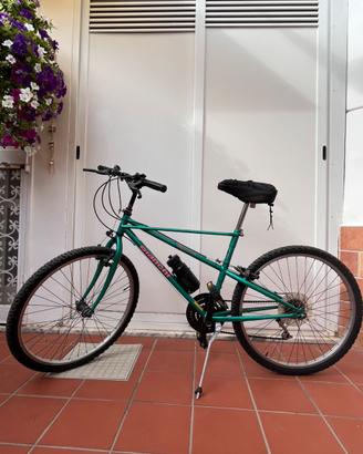 bicicletta bianchi