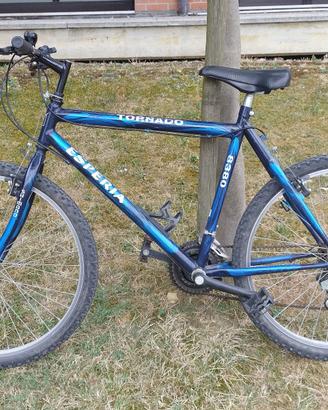 Bicicletta MTB 26" Esperia Tornado