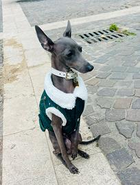 PLI maschio per accoppiamento