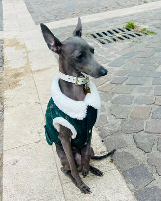 PLI maschio per accoppiamento