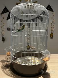 Gabbia per uccelli