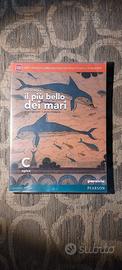 il più bello dei mari C epica ISBN:9788839526298