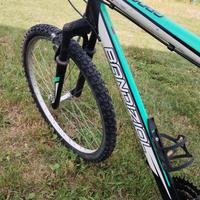 mountain bike