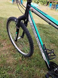 mountain bike