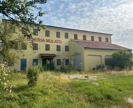 Casale con scuderia e terreno di 4.500 mq - San