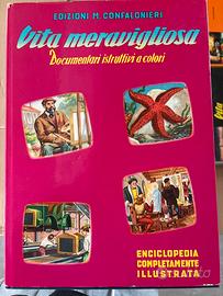 Enciclopedia Vita meravigliosa raccolta 13 volumi