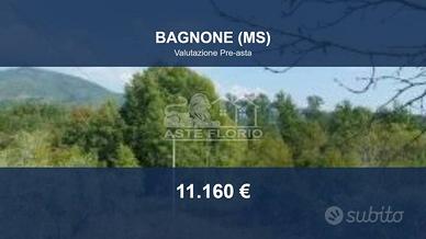 Immobile in asta di 28334 m² a Villafranca in Luni