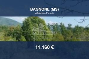 Immobile in asta di 28334 m² a Villafranca in Luni