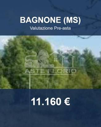Immobile in asta di 28334 m² a Villafranca in Luni
