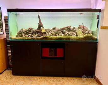 Acquario grande allestimento Lago Malawi