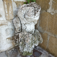 Aquila Imperiale stilizzata