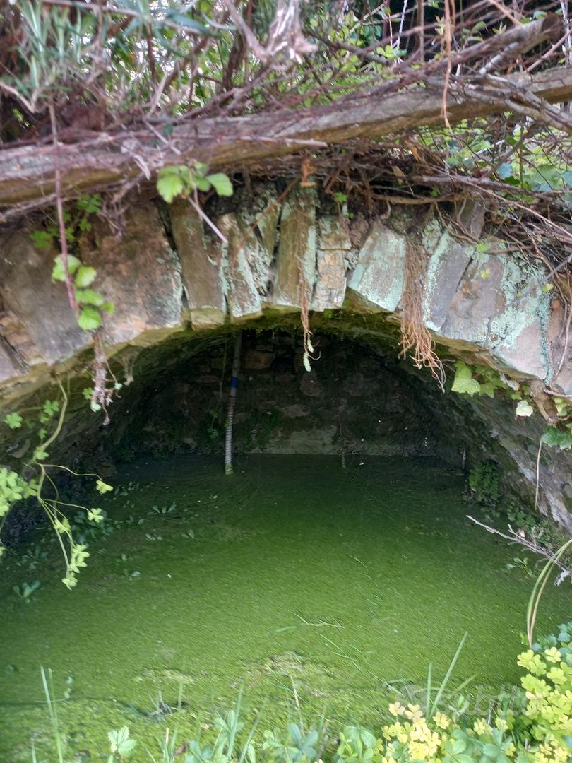Tre porzioni di terreno zona San Giovanni- Sanremo - Altro