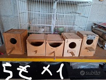Gabbie per volatili