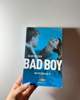 bad boy 2