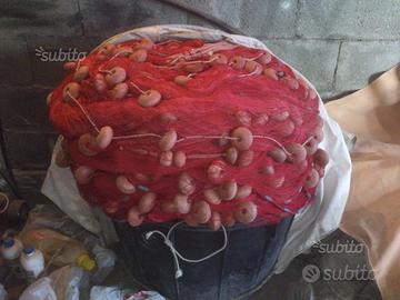 Attrezzature da pesca