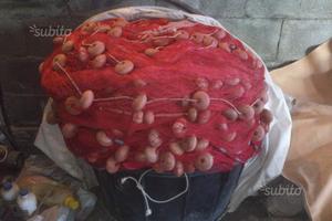 Attrezzature da pesca