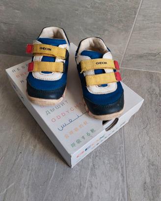 Scarpe bimbo Geox 21