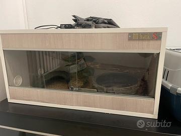 Teca  per rettili