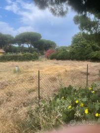 Lotto Lido di Tarquinia