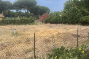 Lotto Lido di Tarquinia