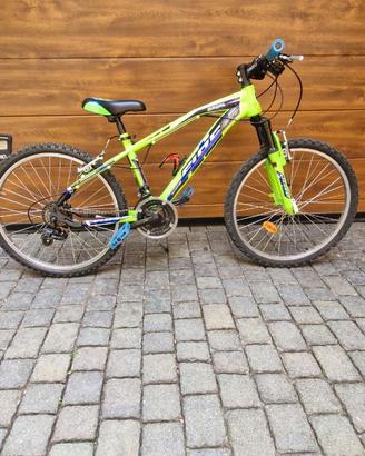 Bicicletta Brera 24