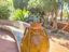 Immagine 13
