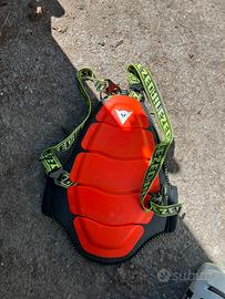 Parashiena dainese