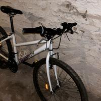 bici mountain bike