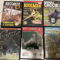 Caccia, setter e beccacce
