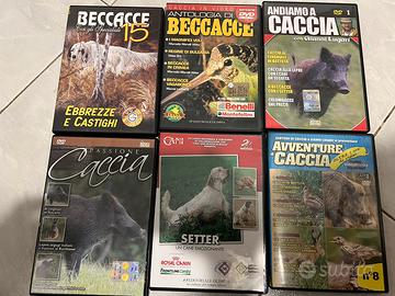 Caccia, setter e beccacce