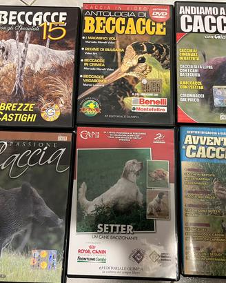 Caccia, setter e beccacce