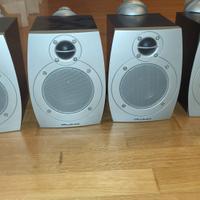 Casse  Wharfedale