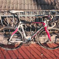 Pinarello prince