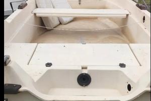 barca motore e carrello 