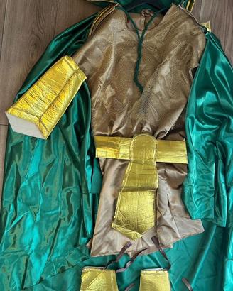 Costume di Carnevale "Guerrieri della Natura" Uomo