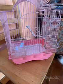 Gabbia  canarino
