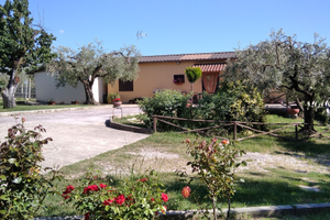 Casa indipendente montelibretti