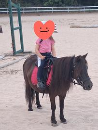 Pony femmina