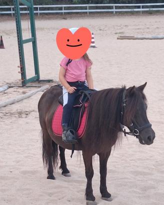 Pony femmina