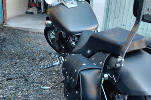Honda VT 750 Black Widow - 2005