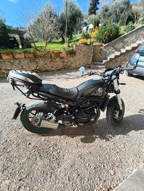 moto Benelli leoncino 500 stradale 