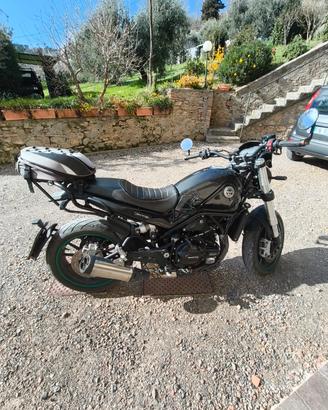 moto Benelli leoncino 500 stradale 