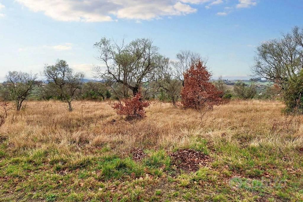 Immobile in asta di 25990 m² a Montefalco - Altro