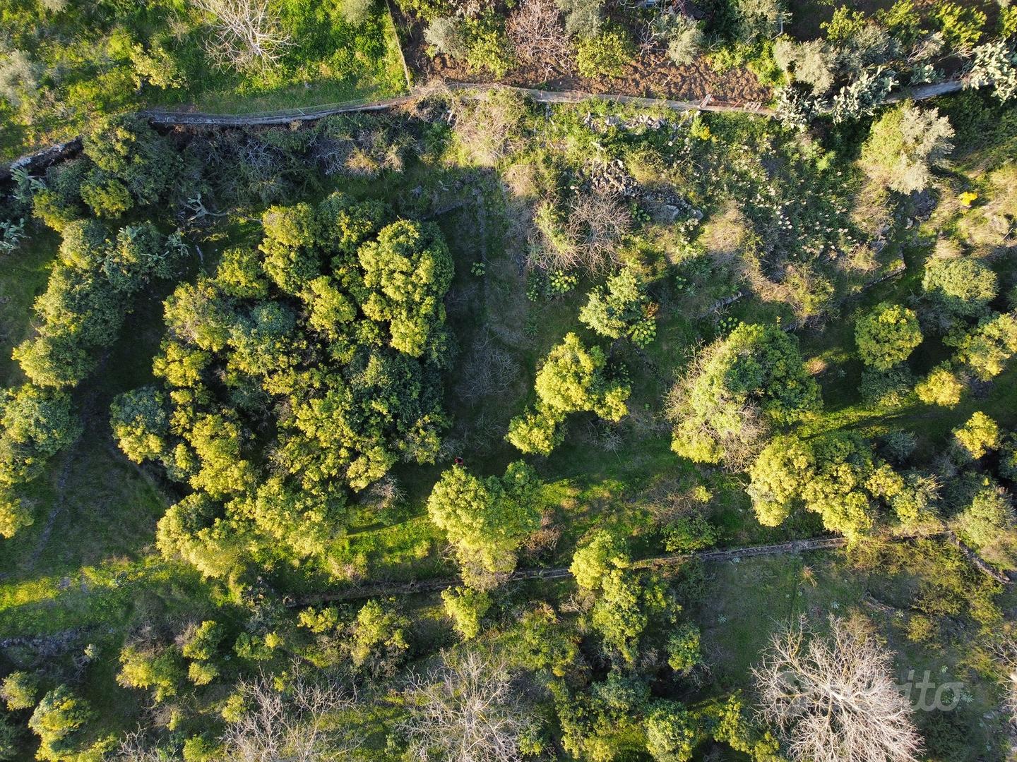 Terreno agricolo di metri 5190 - Vista 5
