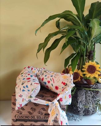 Cuscino del Sollievo